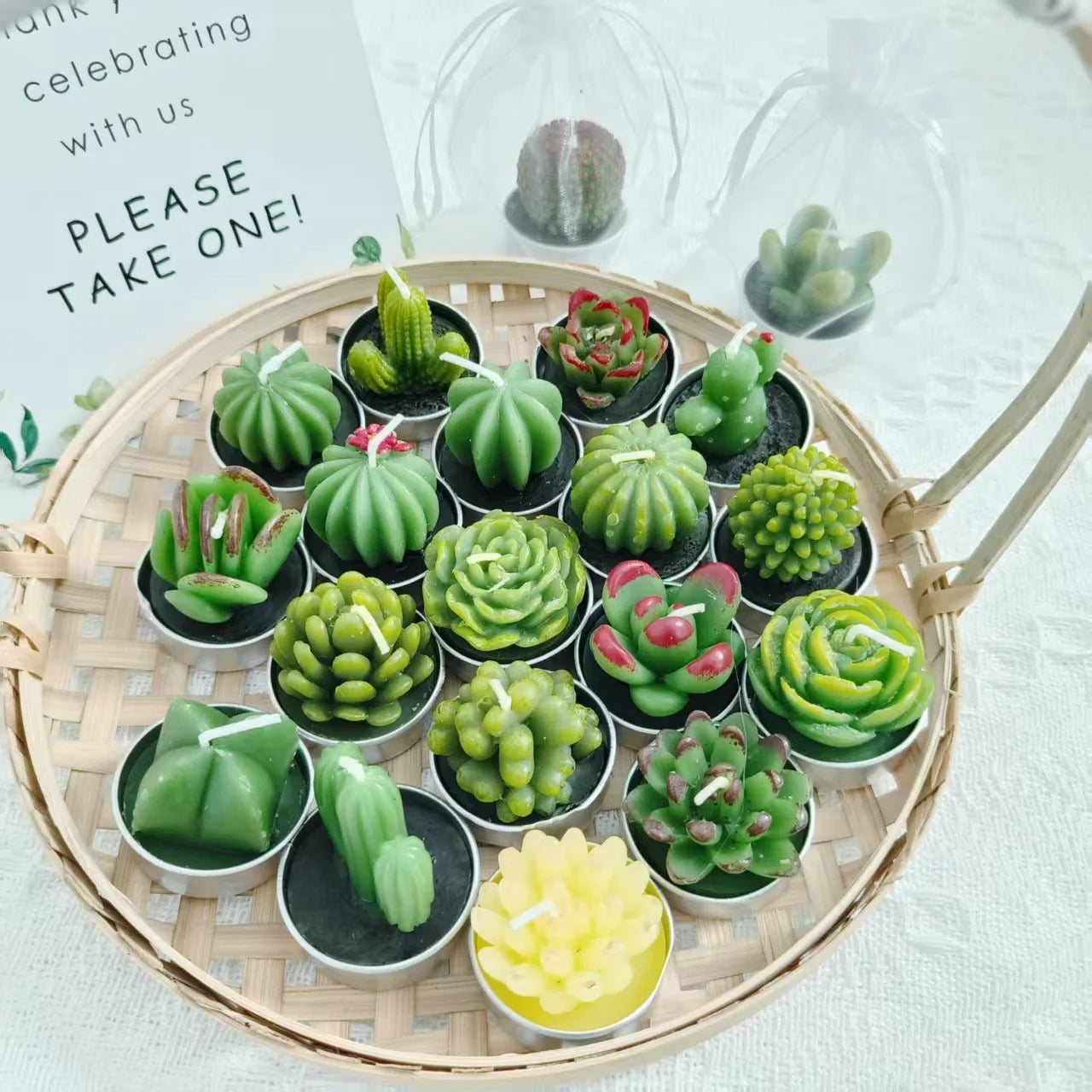 20 Pcs Succulent Candle : Baby Shower Favors