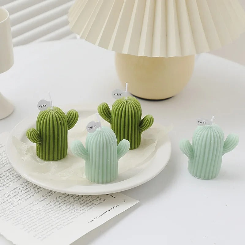 Cactus Scented candles Soy wax Aromatic candles