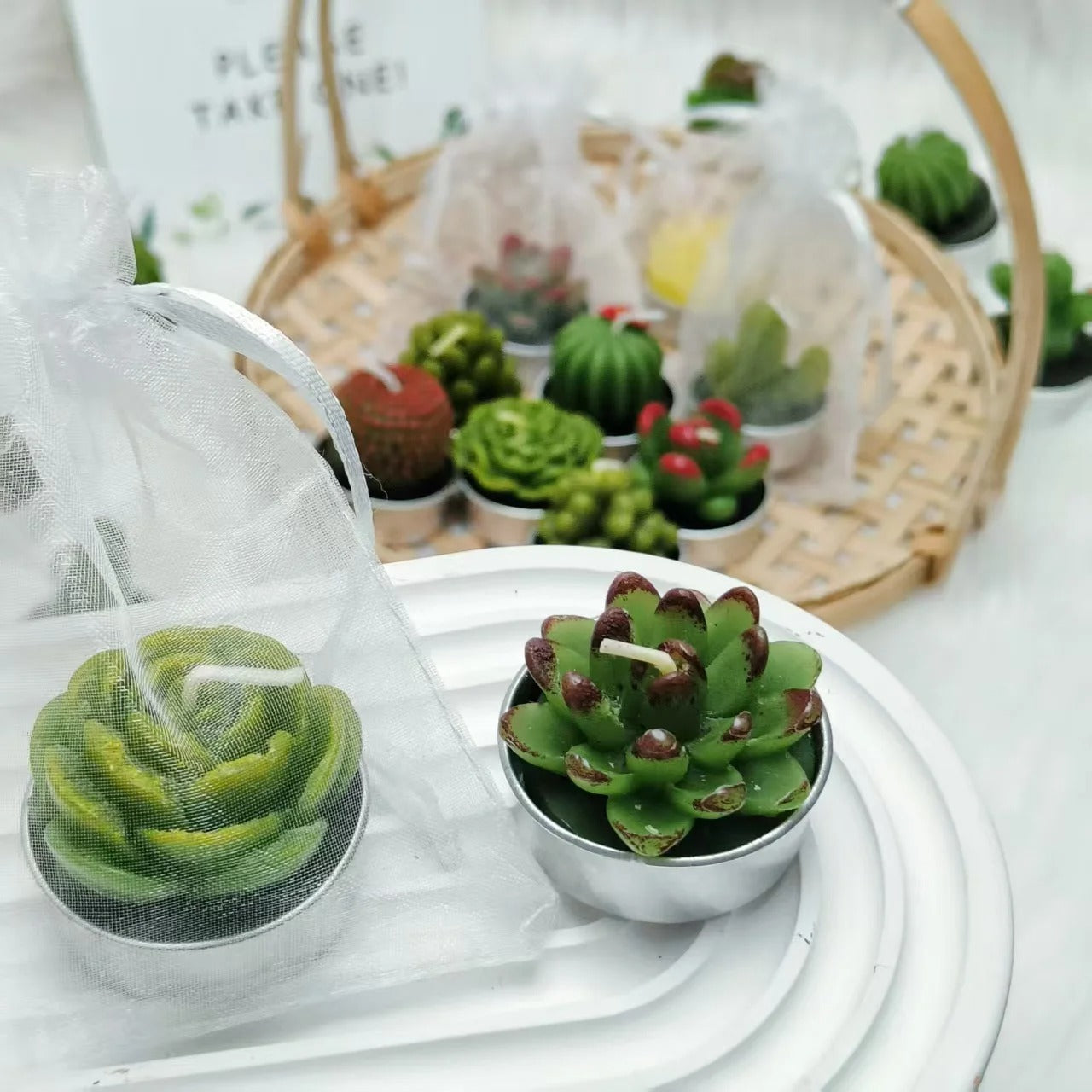 20 Pcs Succulent Candle : Baby Shower Favors