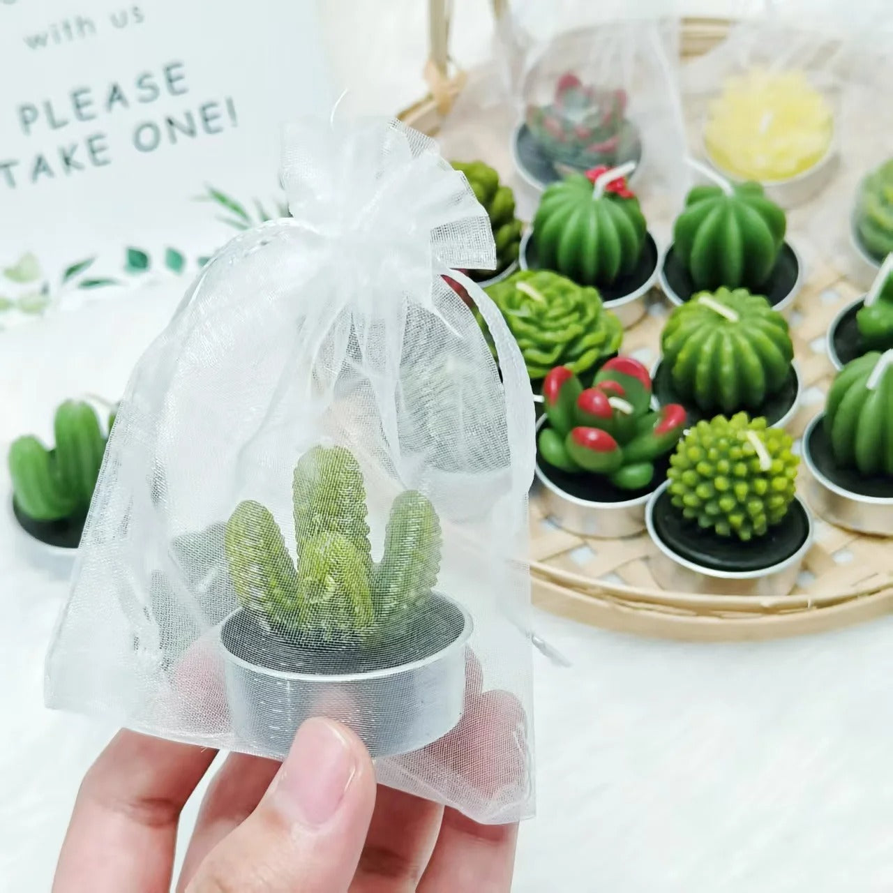 20 Pcs Succulent Candle : Baby Shower Favors
