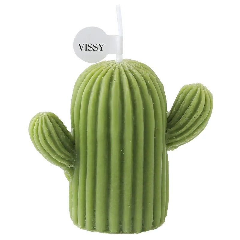 Cactus Scented candles Soy wax Aromatic candles