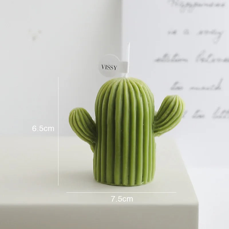 Cactus Scented candles Soy wax Aromatic candles