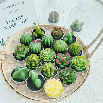 20 Pcs Succulent Candle : Baby Shower Favors