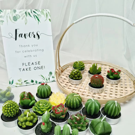 20 Pcs Succulent Candle : Baby Shower Favors